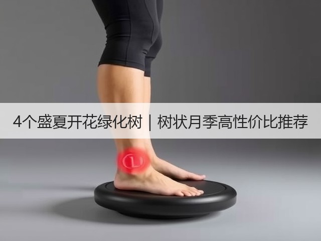 4个盛夏开花绿化树|树状月季高性价比推荐 4个盛夏开花绿化树|树状月季高性价比推荐