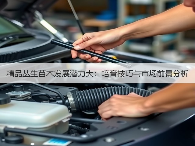 精品丛生苗木发展潜力大：培育技巧与市场前景分析