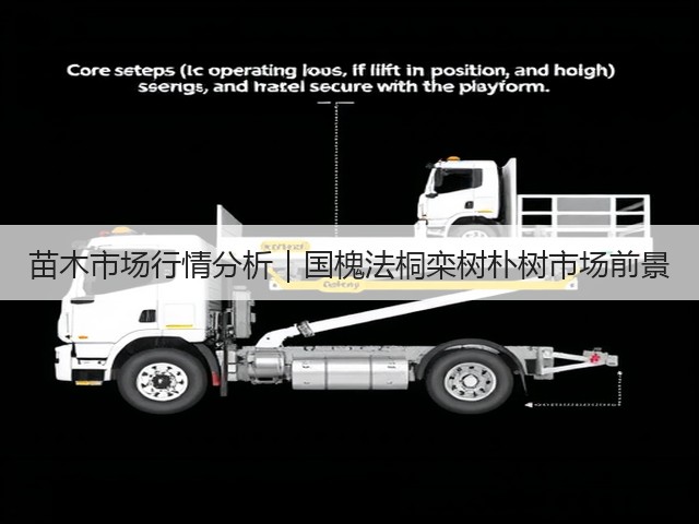 苗木市场行情分析|国槐法桐栾树朴树市场前景 苗木市场行情分析|国槐法桐栾树朴树市场前景