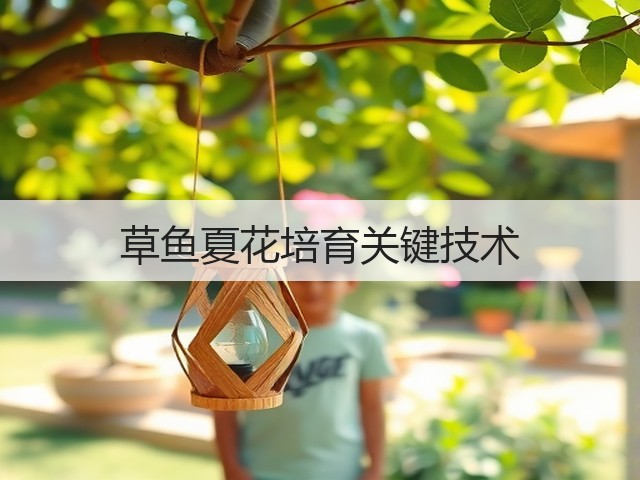 草鱼夏花培育关键技术 草鱼夏花培育关键技术