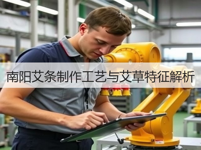 南阳艾条制作工艺与艾草特征解析 南阳艾条制作工艺与艾草特征解析