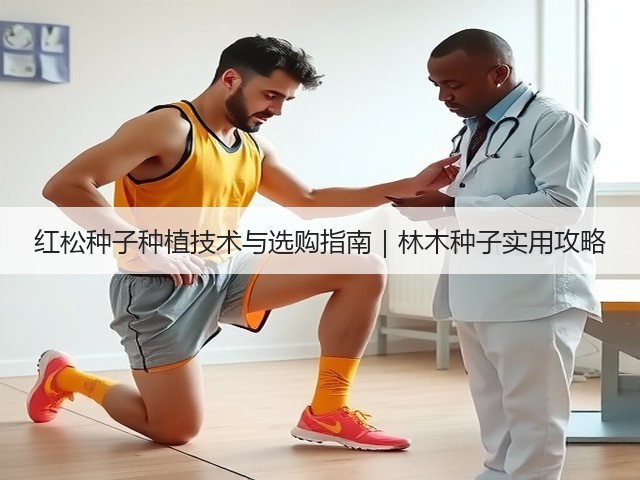 红松种子种植技术与选购指南｜林木种子实用攻略