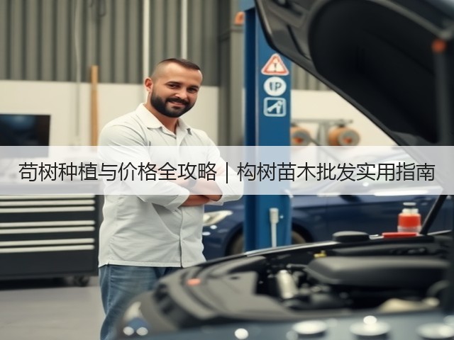 苟树种植与价格全攻略｜构树苗木批发实用指南