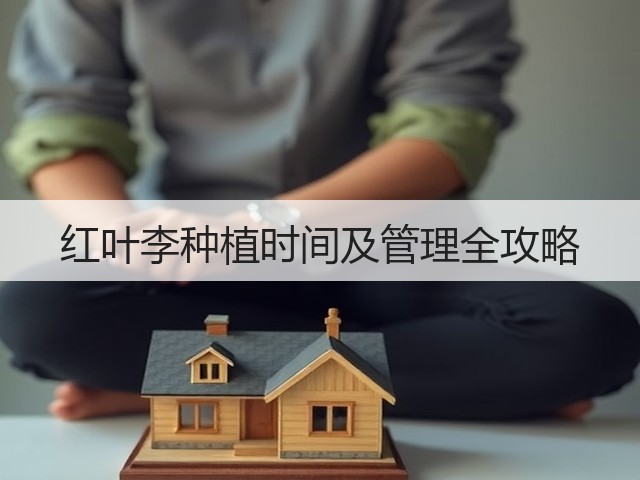 红叶李种植时间及管理全攻略 红叶李种植时间及管理全攻略