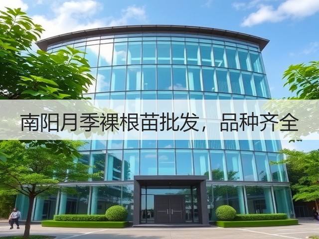 南阳月季裸根苗批发,品种齐全 南阳月季裸根苗批发,品种齐全