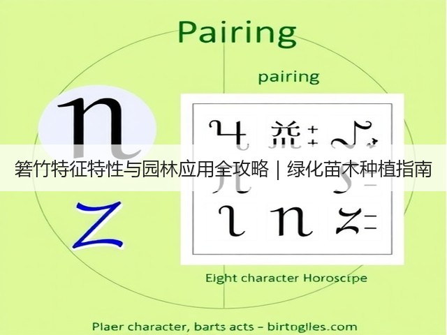 箬竹特征特性与园林应用全攻略|绿化苗木种植指南 箬竹特征特性与园林应用全攻略|绿化苗木种植指南