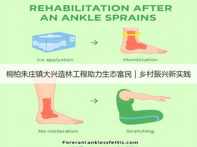 桐柏朱庄镇大兴造林工程助力生态富民|乡村振兴新实践 桐柏朱庄镇大兴造林工程助力生态富民|乡村振兴新实践