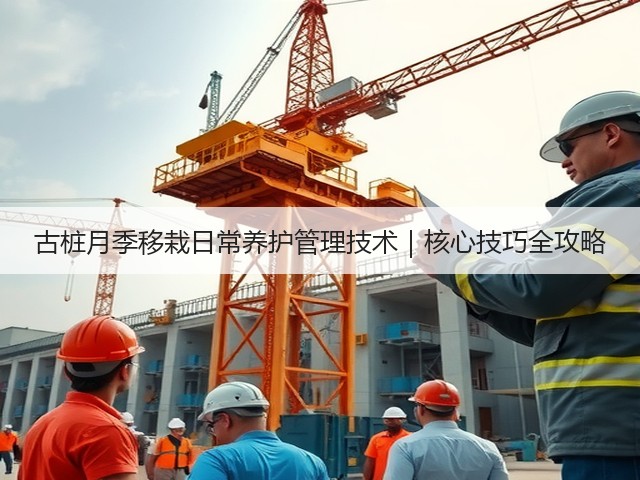 古桩月季移栽日常养护管理技术|核心技巧全攻略 古桩月季移栽日常养护管理技术|核心技巧全攻略