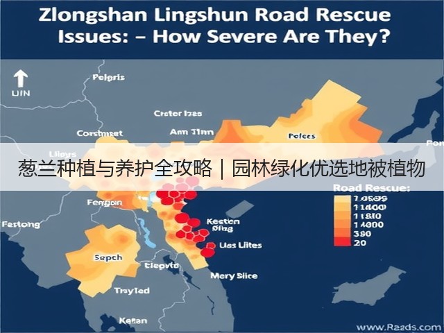 葱兰种植与养护全攻略｜园林绿化优选地被植物