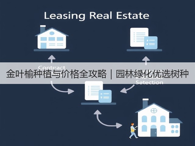 金叶榆种植与价格全攻略|园林绿化优选树种 金叶榆种植与价格全攻略|园林绿化优选树种