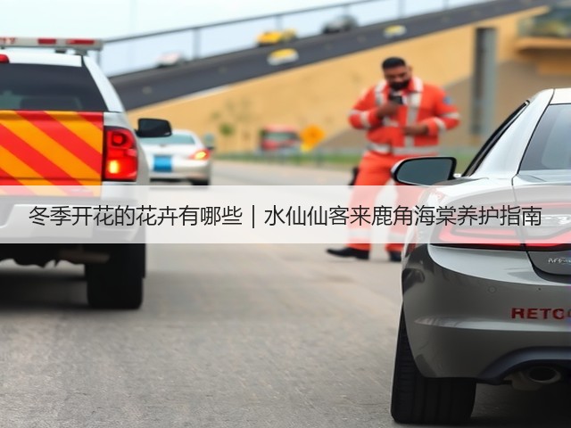 冬季开花的花卉有哪些｜水仙仙客来鹿角海棠养护指南