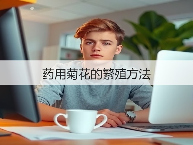 药用菊花的繁殖方法 药用菊花的繁殖方法