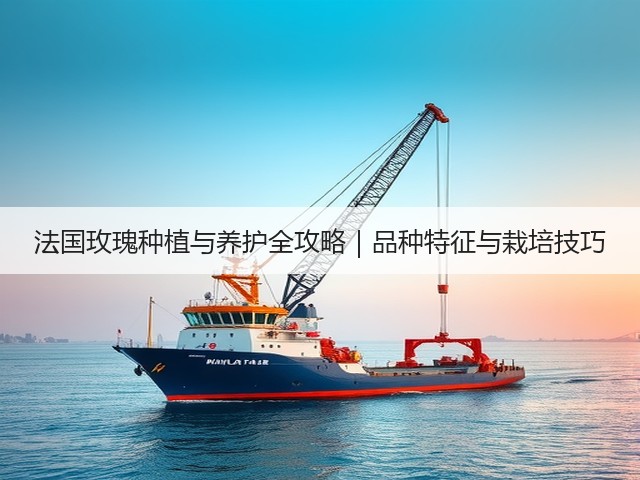 法国玫瑰种植与养护全攻略｜品种特征与栽培技巧