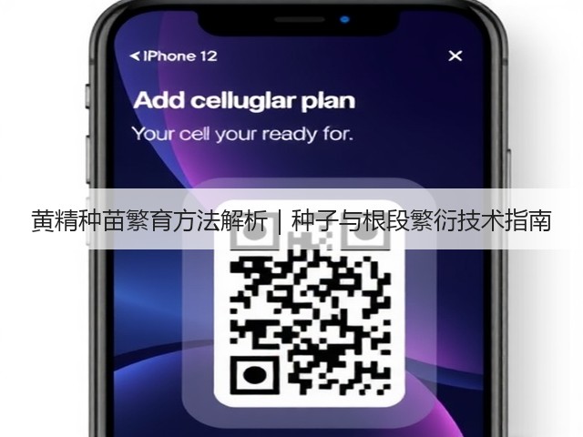 黄精种苗繁育方法解析|种子与根段繁衍技术指南 黄精种苗繁育方法解析|种子与根段繁衍技术指南