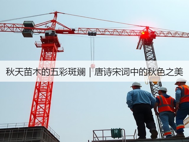 秋天苗木的五彩斑斓|唐诗宋词中的秋色之美 秋天苗木的五彩斑斓|唐诗宋词中的秋色之美