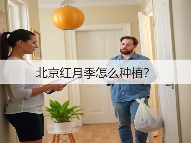 北京红月季怎么种植? 北京红月季怎么种植?