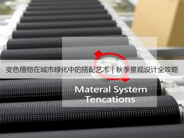 变色植物在城市绿化中的搭配艺术|秋季景观设计全攻略 变色植物在城市绿化中的搭配艺术|秋季景观设计全攻略