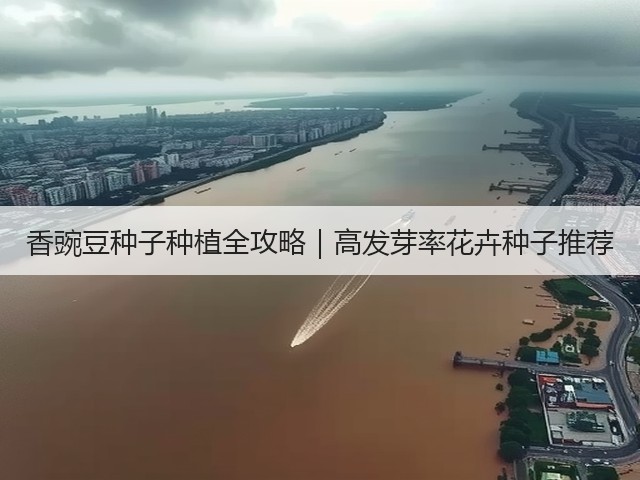 香豌豆种子种植全攻略｜高发芽率花卉种子推荐