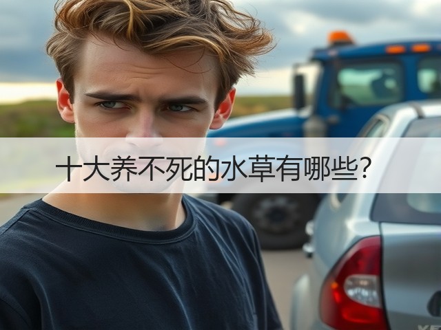 十大养不死的水草有哪些? 十大养不死的水草有哪些?