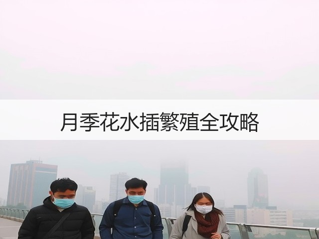 月季花水插繁殖全攻略