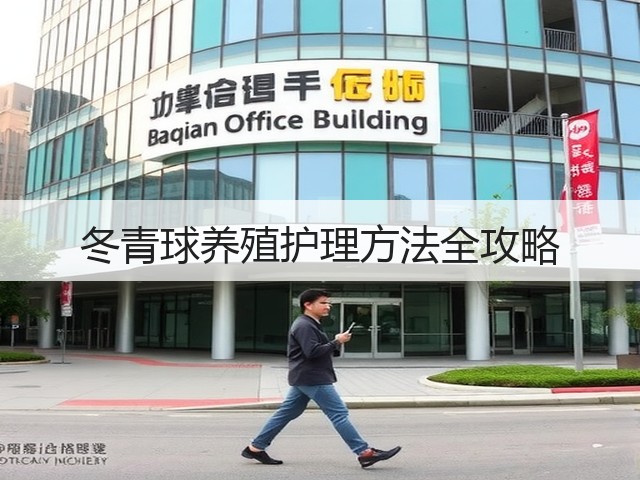冬青球养殖护理方法全攻略 冬青球养殖护理方法全攻略