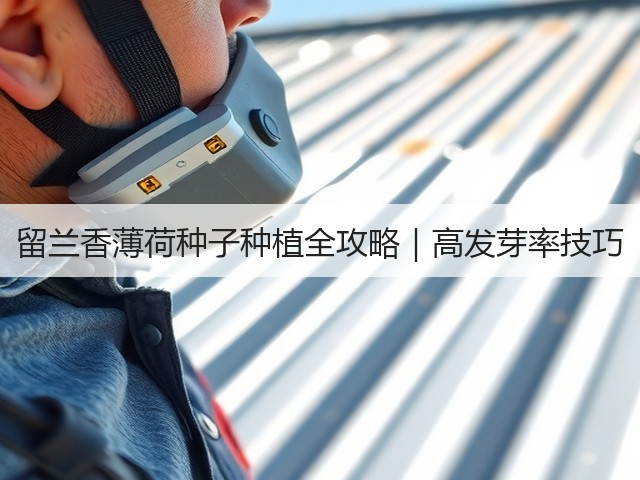 留兰香薄荷种子种植全攻略｜高发芽率技巧