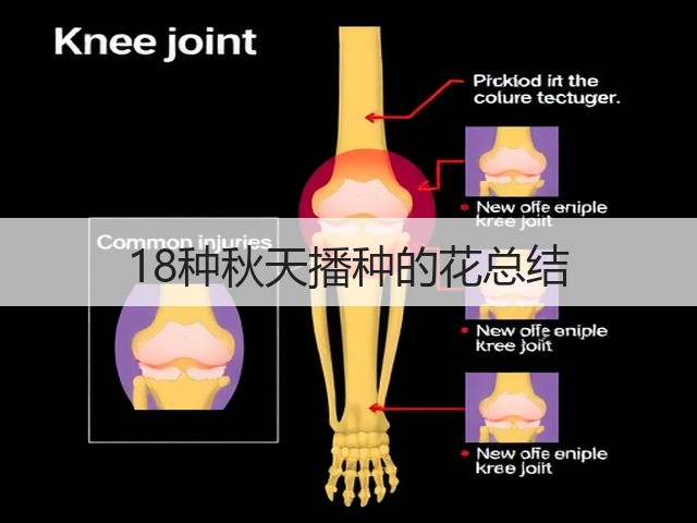 18种秋天播种的花总结 18种秋天播种的花总结