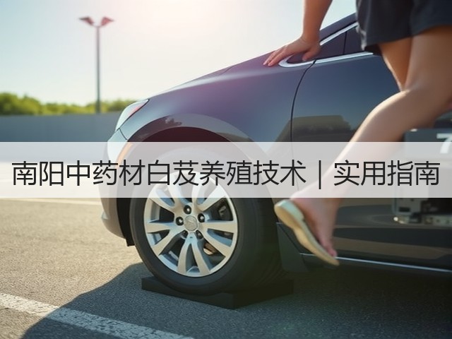 南阳中药材白芨养殖技术|实用指南 南阳中药材白芨养殖技术|实用指南