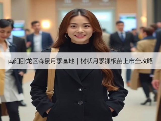 南阳卧龙区森景月季基地|树状月季裸根苗上市全攻略 南阳卧龙区森景月季基地|树状月季裸根苗上市全攻略