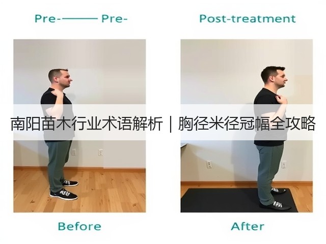 南阳苗木行业术语解析｜胸径米径冠幅全攻略