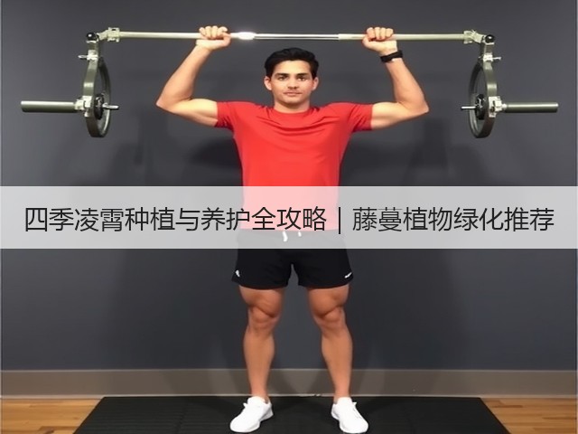 四季凌霄种植与养护全攻略｜藤蔓植物绿化推荐