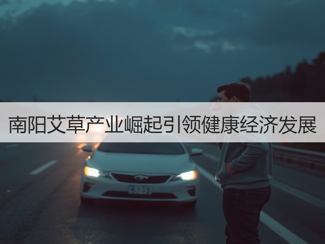 南阳艾草产业崛起引领健康经济发展
