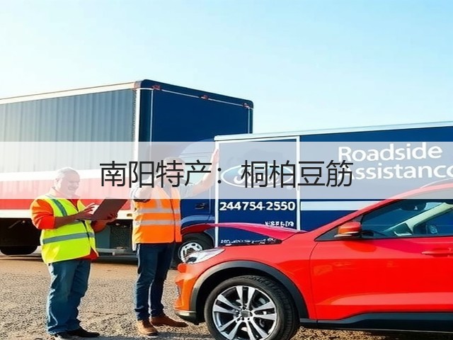 南阳特产:桐柏豆筋 南阳特产:桐柏豆筋