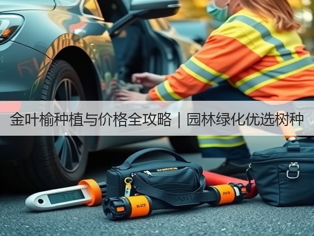 金叶榆种植与价格全攻略|园林绿化优选树种 金叶榆种植与价格全攻略|园林绿化优选树种