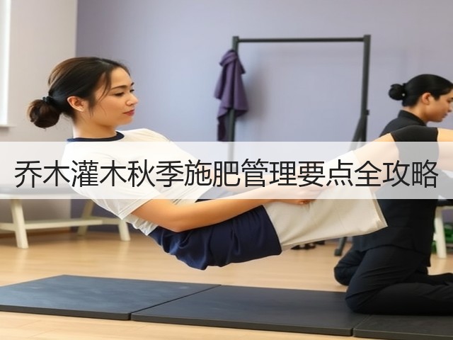 乔木灌木秋季施肥管理要点全攻略