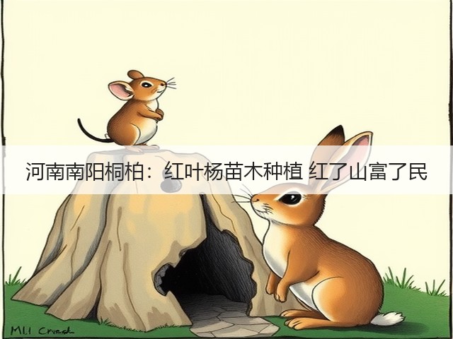 河南南阳桐柏:红叶杨苗木种植 红了山富了民 河南南阳桐柏:红叶杨苗木种植 红了山富了民