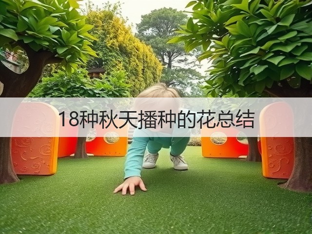 18种秋天播种的花总结 18种秋天播种的花总结