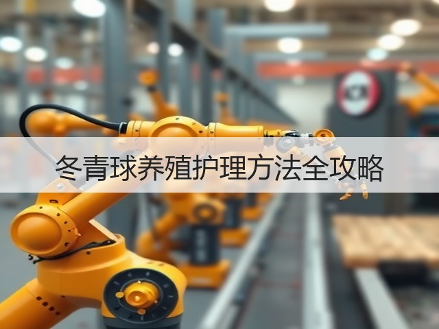 冬青球养殖护理方法全攻略 冬青球养殖护理方法全攻略