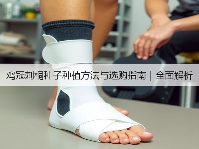 鸡冠刺桐种子种植方法与选购指南｜全面解析