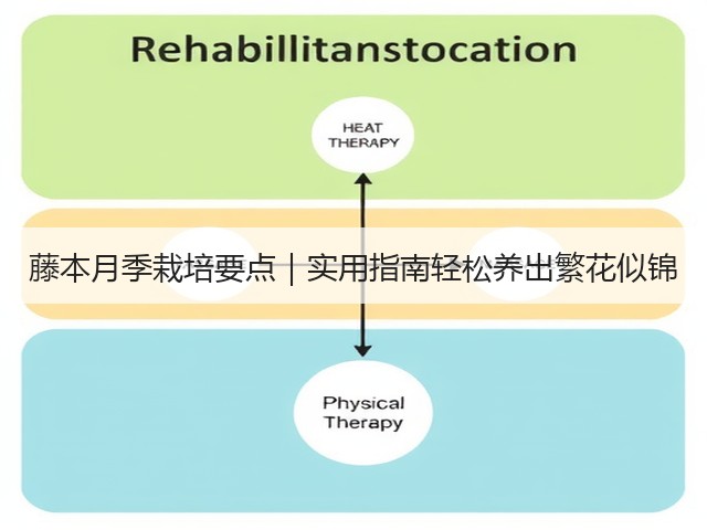 藤本月季栽培要点|实用指南轻松养出繁花似锦 藤本月季栽培要点|实用指南轻松养出繁花似锦