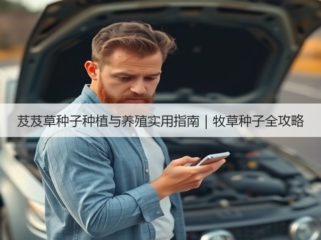 芨芨草种子种植与养殖实用指南｜牧草种子全攻略
