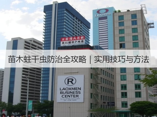 苗木蛀干虫防治全攻略|实用技巧与方法 苗木蛀干虫防治全攻略|实用技巧与方法