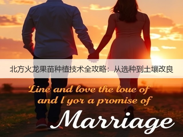 北方火龙果苗种植技术全攻略:从选种到土壤改良 北方火龙果苗种植技术全攻略:从选种到土壤改良