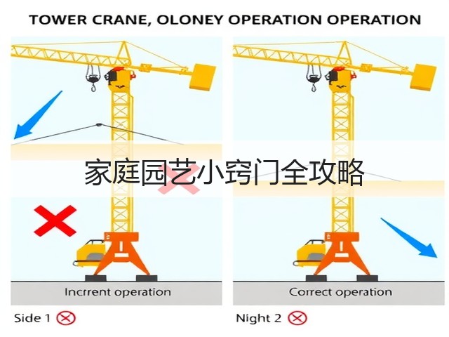 家庭园艺小窍门全攻略