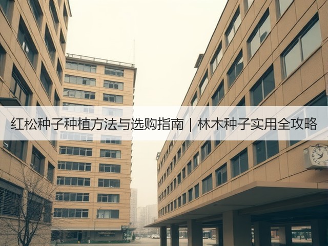 红松种子种植方法与选购指南｜林木种子实用全攻略