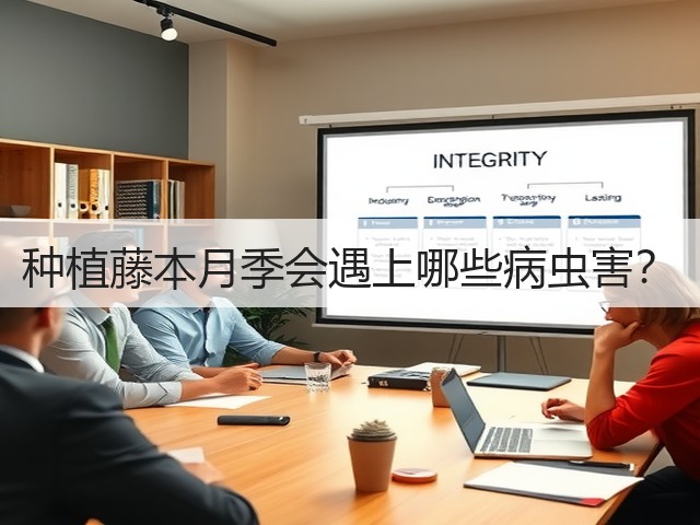 种植藤本月季会遇上哪些病虫害? 种植藤本月季会遇上哪些病虫害?