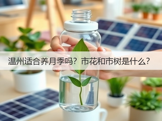 温州适合养月季吗?市花和市树是什么? 温州适合养月季吗?市花和市树是什么?