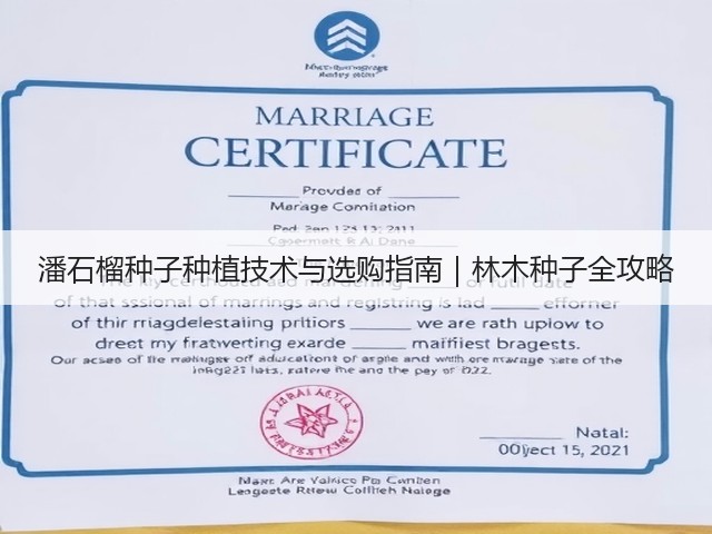 潘石榴种子种植技术与选购指南｜林木种子全攻略