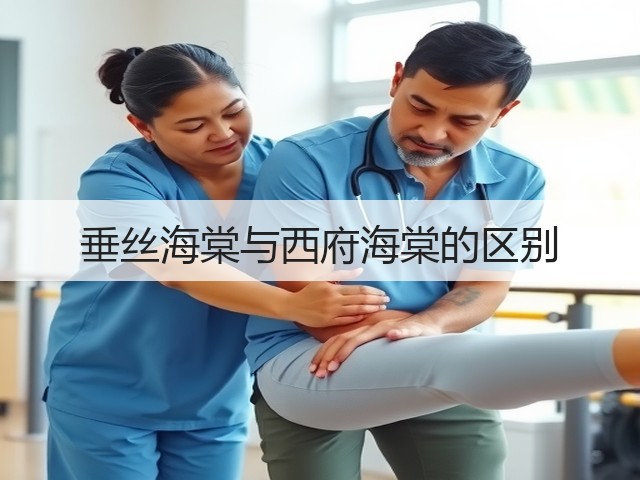 垂丝海棠与西府海棠的区别 垂丝海棠与西府海棠的区别