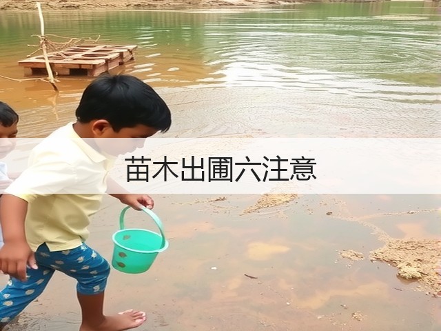苗木出圃六注意